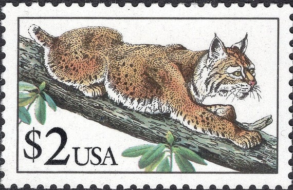 Interesting Animal Images on Postage Stamps - Vetstreet