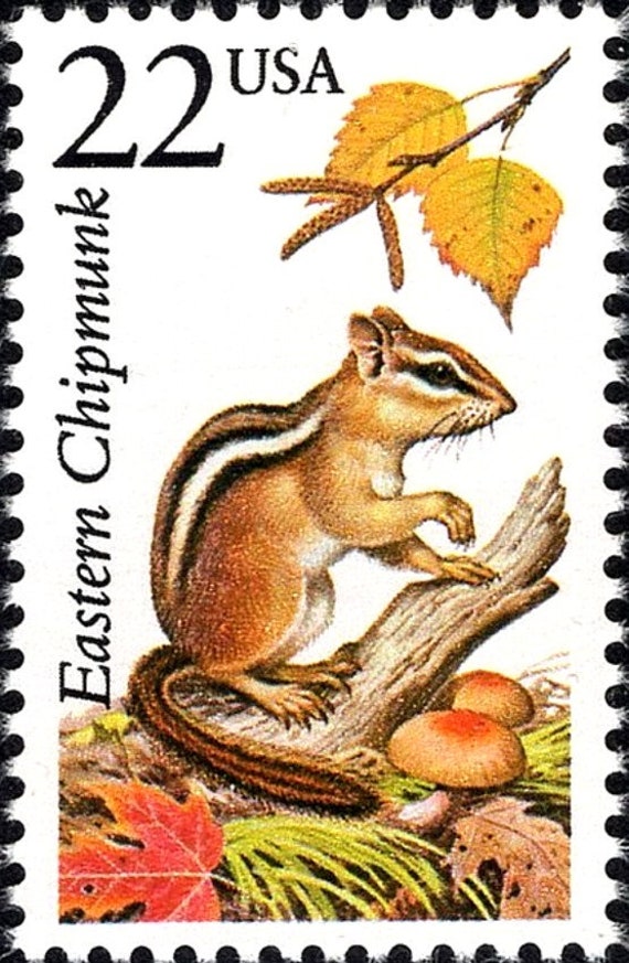 Five 22c Chipmunk Stamp Unused US Postage Stamps Pack of 5 