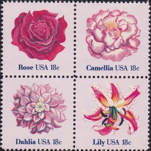 Conjunto de 50 FLORES ROSAS. Sellos postales antiguos sin usar de 18 centavos. Ramilletes rosados para enviar por correo. Franqueo de bodas, cartas de amor, dígalo con rosa