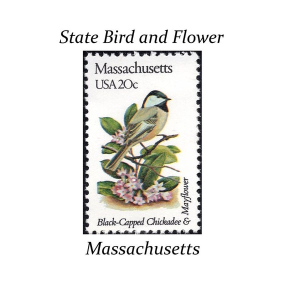 Five 20c MASSACHUSETTS State Bird and Flower Stamp | Vintage