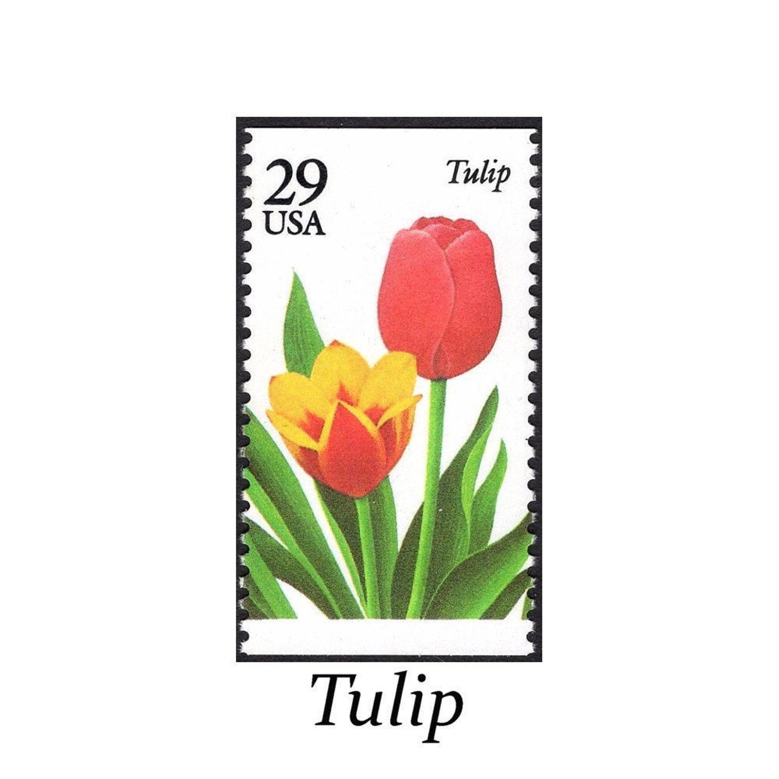Five 29c Tulip Flower Stamps Vintage Unused Postage Stamp Etsy