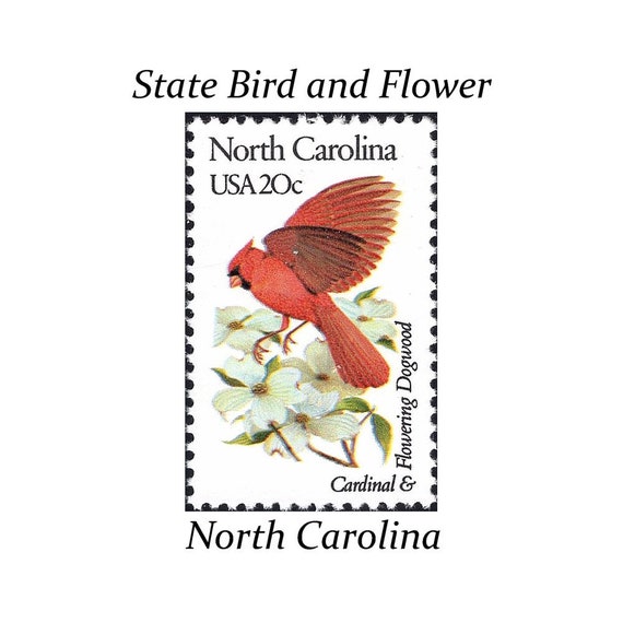 Five 20c NORTH CAROLINA State Bird and Flower stamp | Vintage Unused US  Postage Stamp | Dogwood Flowers | Cardinal | Stamps for Mailing