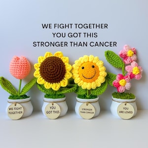 Cancer Care Paket Geschenk, Cancer Survivor Geschenk, Chemo Care Paket, Kranker Freund Geschenk, Gute Besserung Geschenk mit benutzerdefinierten Tags