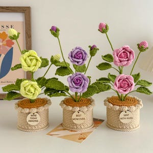 Häkeln Sie Blumen im Topf, häkeln Sie Rose Topfpflanze, Abschlussgeschenk, Geburtstagsgeschenke, Geschenk für Mutter mit benutzerdefinierten Tags