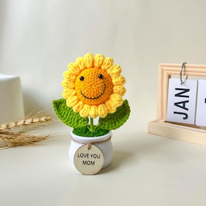 Handmade Crochet Flower in Pot – Sending Hugs Gift for Her – Get Well Soon, Birthday Gift – Personalized with Custom Tag