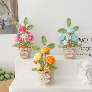 Crochet Flowers in Pot, Crochet Rose Potted Plant, Graduation Gift, Birthday Gifts, Gift for Mother with Custom Tags