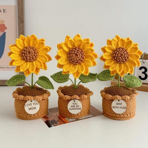 Gehäkelte Sonnenblume, Sonnenblume im Topf, Wohnkultur, Ermutigung tägliche positive Affirmationen, Geburtstagsgeschenk mit benutzerdefinierten Tags