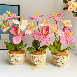 Crochet Flower in Pot, Crochet Lily of the Valley/Daisy, Graduation Gift, Birthday Gifts, Gift for Mother with Custom Tags