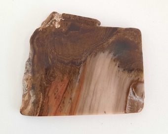 Biggs Jasper agate, rock slab, stone slice, cabbing rough, gemstone specimen, polished both sides 2 1/4" x 1 3/4"