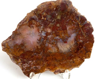 Jasper Agate Slab Unpolished