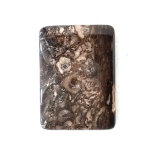 May include: A brown and white agate cabochon with a swirling pattern. The stone is rectangular and has a polished finish.