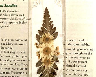 A Real Pressed Flower White Bookmark in a Plastic Sleeve