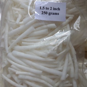 SALE! 250 grams/8.9 oz Dentalium Shell 1.5-2 in Smooth Large White Tusk Shell Bulk Natural Shell Bead Native Jewelry Powwow Regalia Supplies