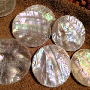 May include: A collection of iridescent, round, mother-of-pearl shells. The shells have a pearlescent sheen with colors of white, pink, green, and gold. They are arranged on a brown, textured surface.