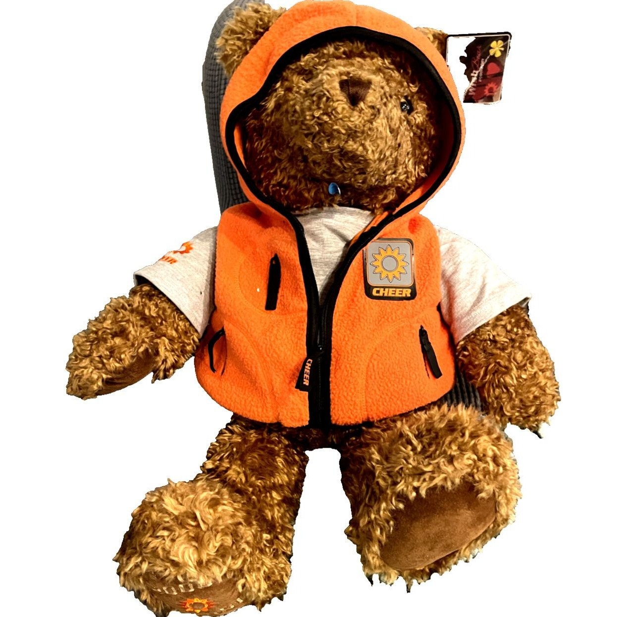 Vtg Limited Edition GUND Stuffed/plush Wish Teddy Bear 2000/2001