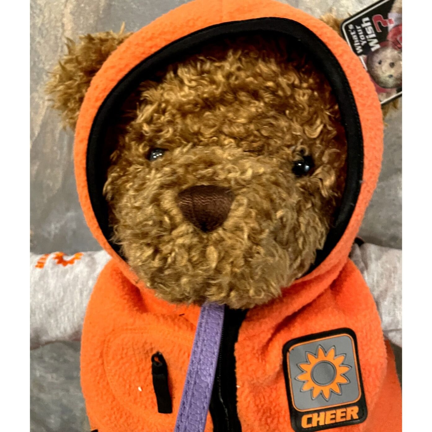  Teddy Bear 2001 コレクション il_1080xN.6138702836_ngfs.jpg