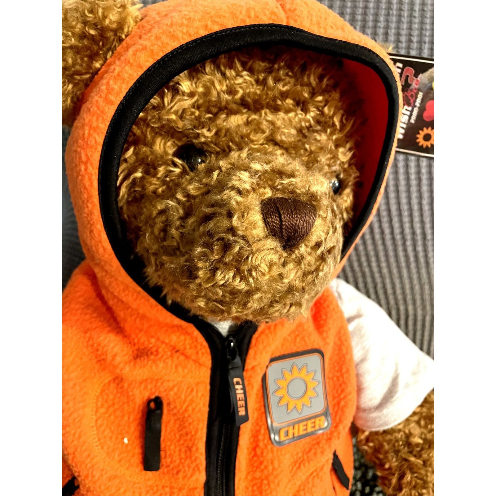 Vtg Limited Edition GUND Stuffed/plush Wish Teddy Bear 2000/2001