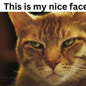 Beau visage