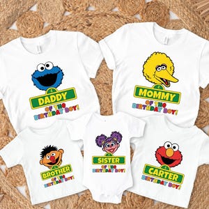 Character Family Birthday Shirts, Custom Street Matching Family Birthday T-shirt, Toddler Birthday Tee, First Second Birthday, Birthday Boy