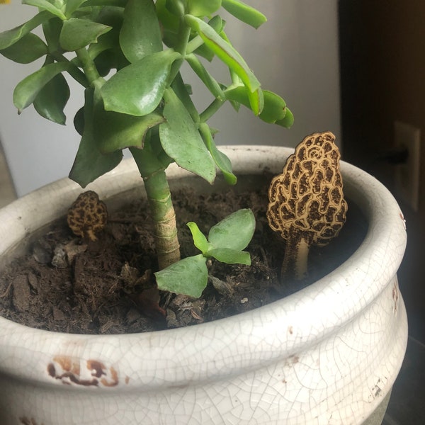 Laser Cut Files-Decorative Mushrooms for Plant Lovers