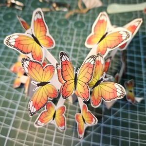 Butterfly Explosion Card