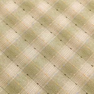 Dotted textured gingham Japanese yarn dyed cotton taupe fabric SY10633S D green