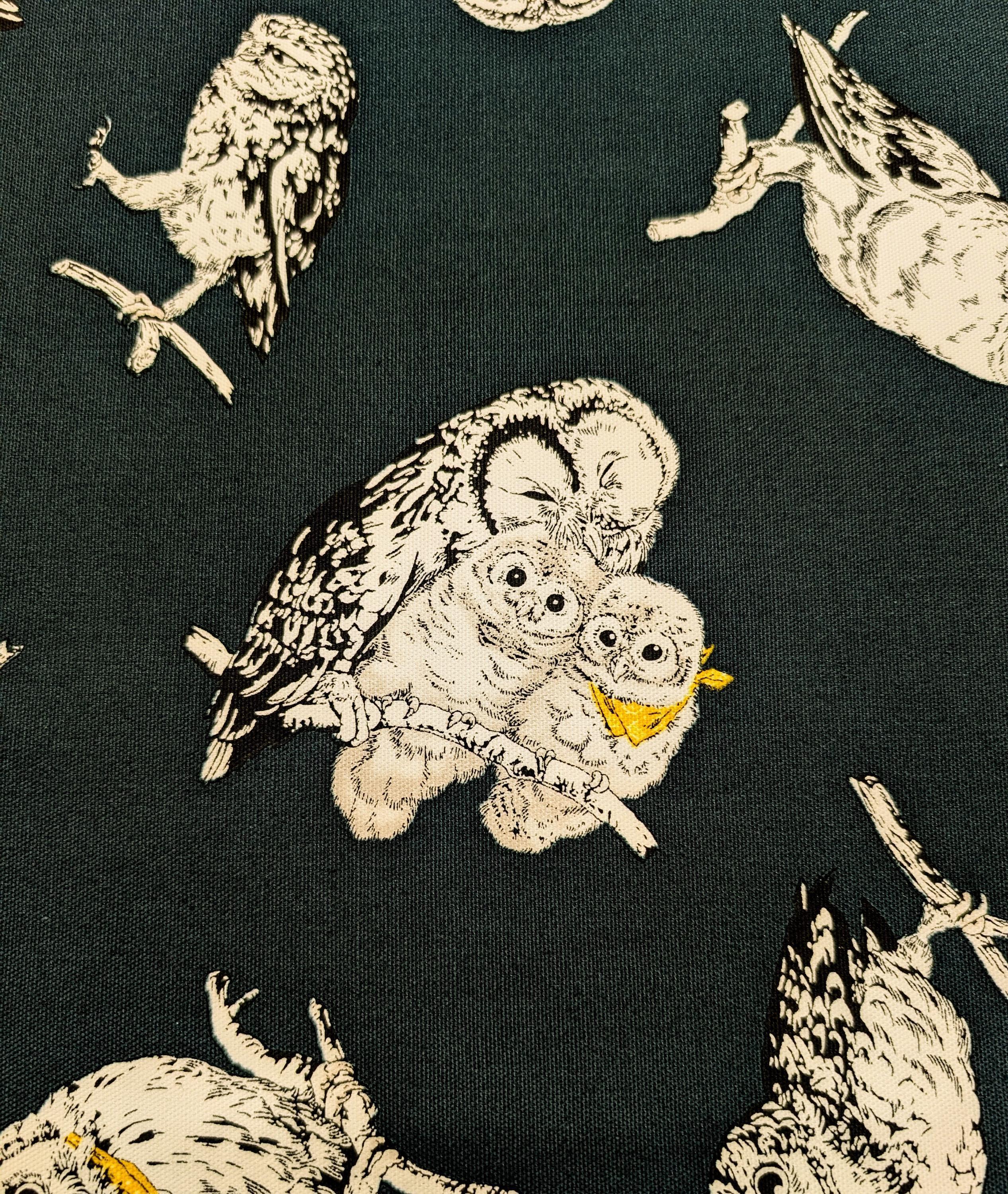Owls in Bandanas Cosmo Japanese cotton oxford fabric AP41401-2 E dark green