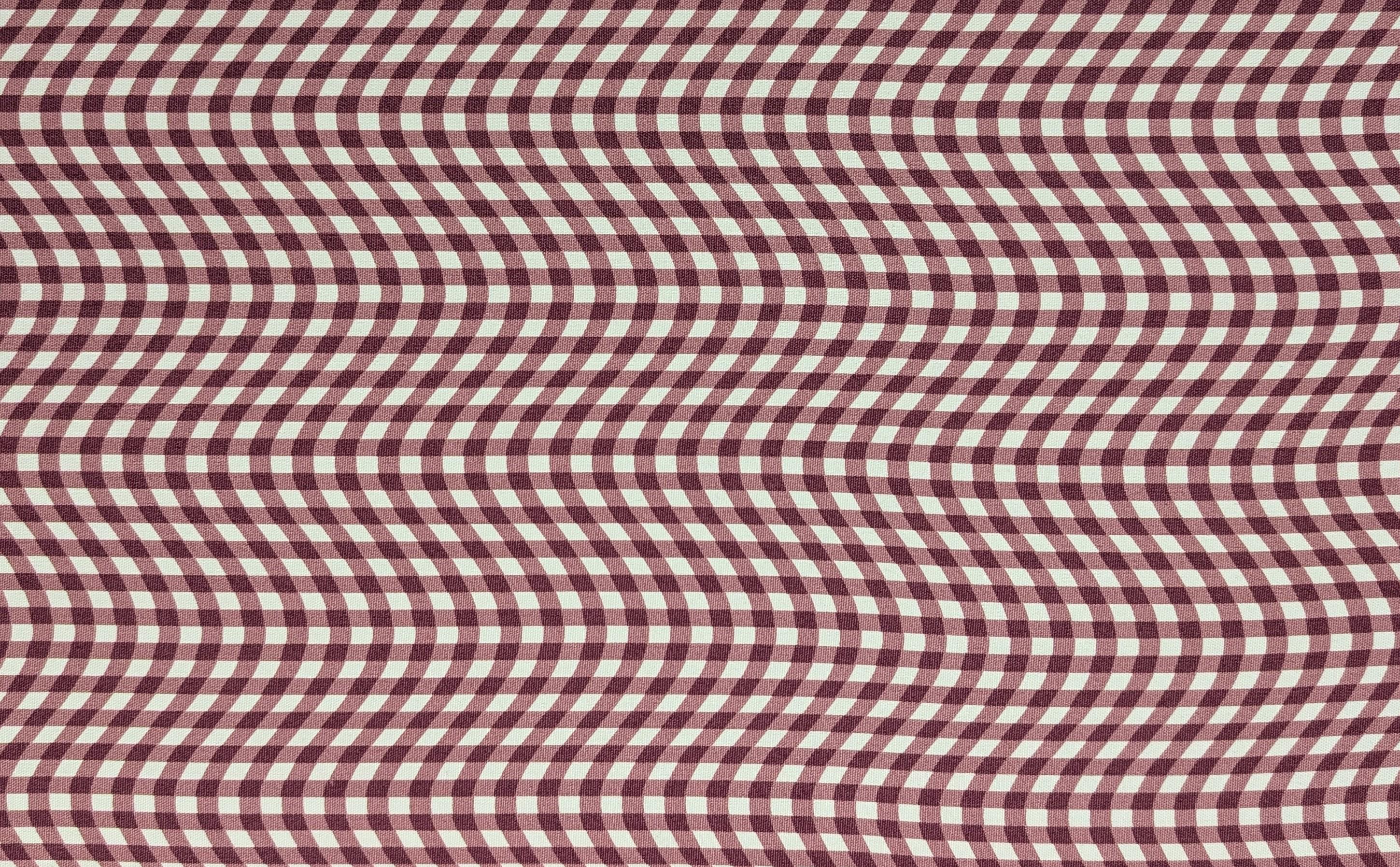 Warped Gingham Hishiei Japanese Oxford Cotton Canvas Fabric H-7095