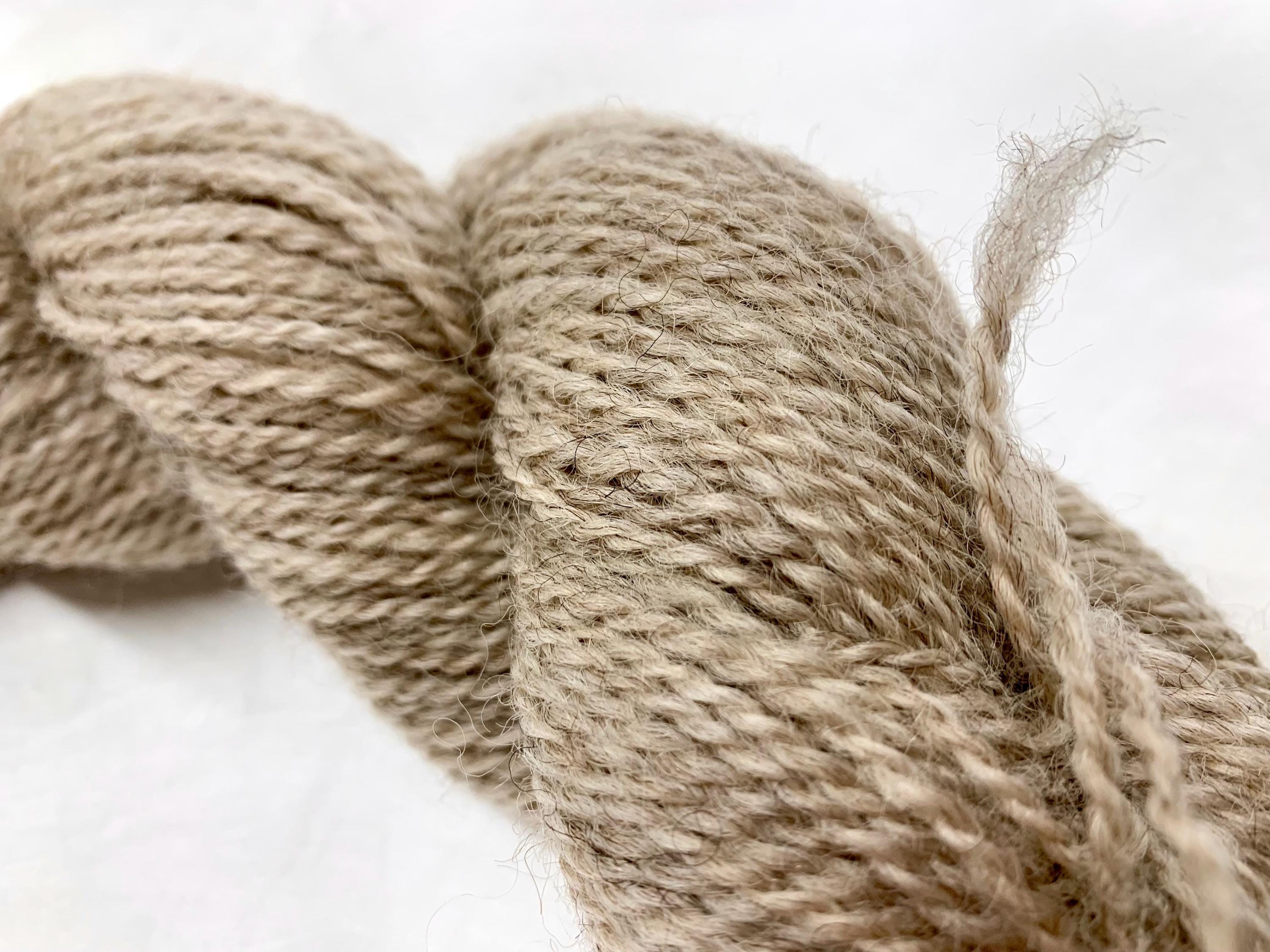 Spoiled Sheep Yarn 200 Yards Jacklyn Color #13 Ash Blonde - Etsy