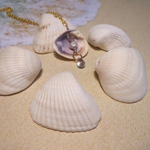 20in Dark Lavender Siren Shell Pendant