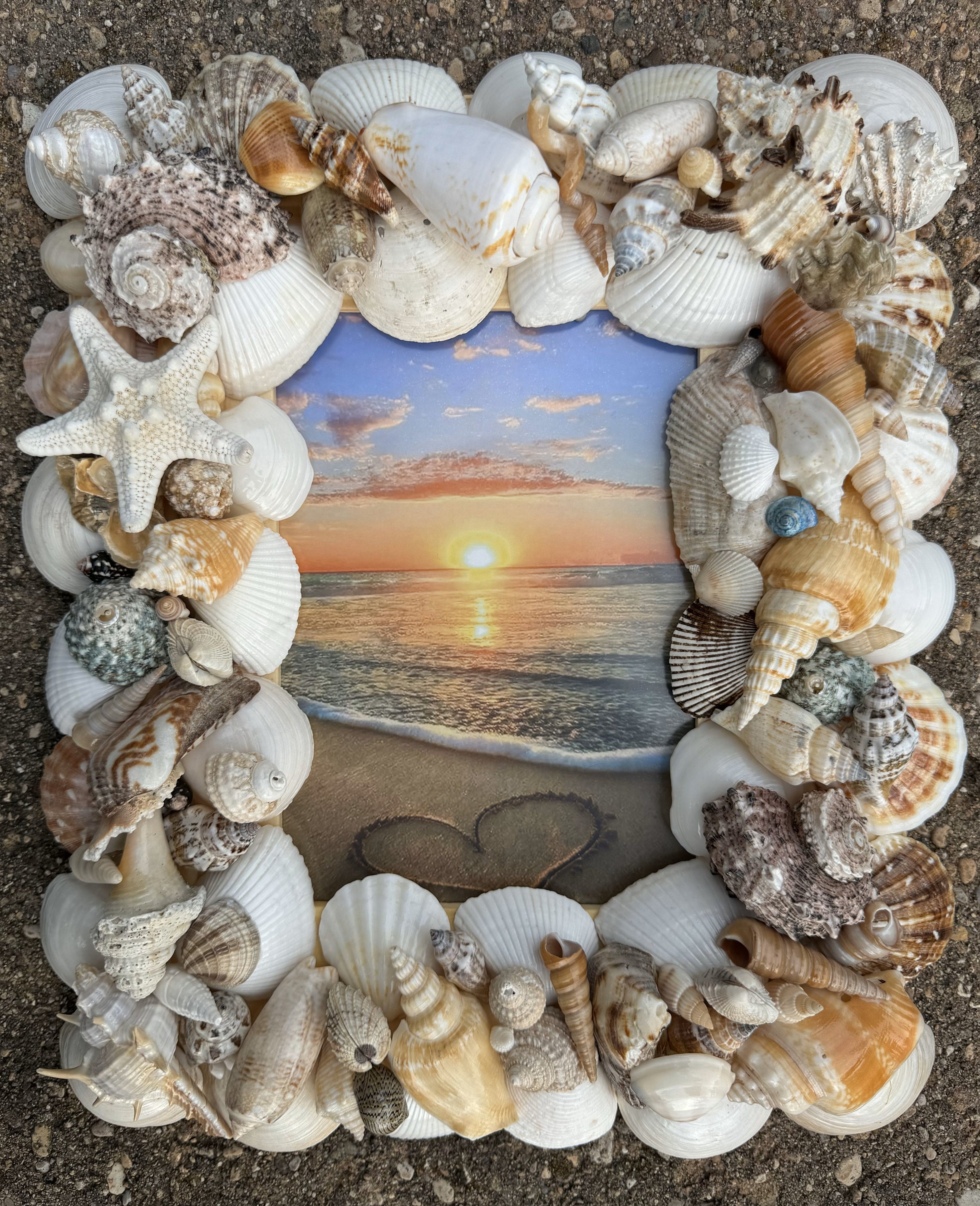Seashell Picture Frame, Seashell Art, Decorative Shell Frame, Shell Art ...