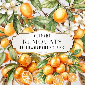 Watercolor Kumquat Clipart, Autumn Clip Art, Kumquats Clip Art Set, Kumquat Tree, Kumquat Plant PNG, Commercial Use