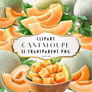 Watercolor Cantaloupe Clipart Rockmelon PNG Fruit Slices Wedges Whole Melon Digital Illustration Summer Food Art Commercial Use Bundle