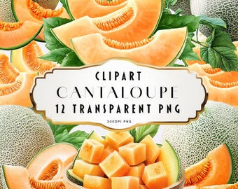 Clipart di melone cantalupo acquerello, melone cantalupo PNG, fette di frutta, spicchi di melone intero, illustrazione digitale, arte del cibo estivo, uso commerciale