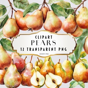 Clipart di pere ad acquerello, clipart di pere, clipart estive, clipart di frutta pera, clipart autunnale PNG, download istantaneo, uso commerciale