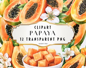Set di clipart di papaya ad acquerello, clip art di frutta esotica, set di clip art di papaya, clipart floreale, frutta tropicale, PNG, download immediato, uso commerciale