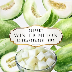 Winter Melon Watercolor Clipart PNG Wax Gourd Winter Gourd Benincasa Hispida Digital Art Food Illustration Sublimation Files Commercial Use