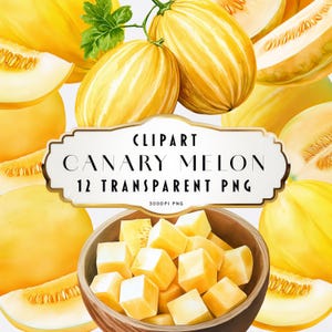 Akvarell kanariefågelmelon Clipart gul frukt PNG sommar tropisk matkonst utskrivbar köksinredning saftig melon illustrationer kommersiellt bruk