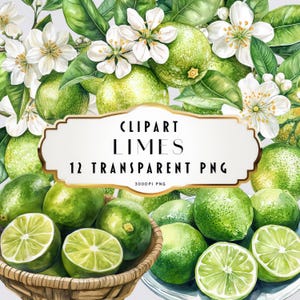 May include: A digital clipart set of 12 lime illustrations. The limes are green and have a glossy finish. The clipart is perfect for adding a touch of freshness to your designs.
