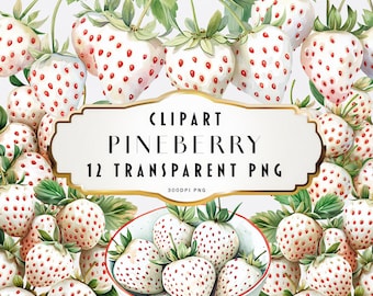 Clipart di Pineberry ad acquerello Clipart di Pineberries Fruit Clipart di fragole bianche Clipart di frutta esotica Download immediato Uso commerciale