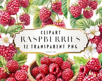 Clipart di lamponi ad acquerello Clipart di lamponi estivi Set di clipart di fiori Bouquet floreali Elementi floreali Uso commerciale