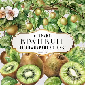 Clipart de kiwi en acuarela, clip art de kiwi, clipart floral, corona, elementos florales, planta de kiwi, descarga instantánea, uso comercial