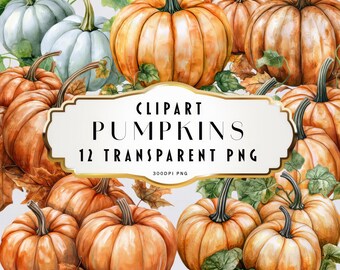 Watercolor Pumpkin Clipart, Autumn Clip Art, Pumpkins Clip Art Set, Pumpkin Patch, Halloween Clipart PNG, Commercial Use