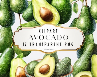 Clipart di avocado ad acquerello PNG Download digitale Avocado dipinto a mano File grafici di frutta verde interi e a fette Uso commerciale