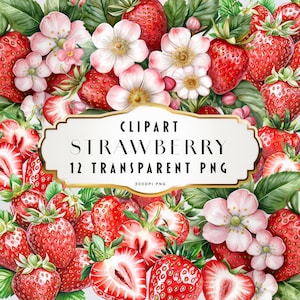 Clipart de morango em aquarela Morangos Clipart de frutas Morangos silvestres Clipart Floral Clipart Download instantâneo Uso comercial