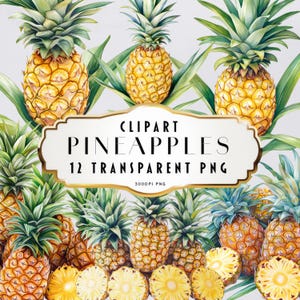 May include: A digital illustration of 12 watercolour pineapples with green leaves. The pineapples are arranged in a circle around a white banner with the text "Clipart Pineapples 12 Transparent PNG 300DPI PNG".
