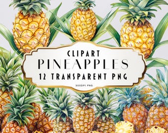 Watercolor Pineapple Clipart Tropical Clip Art Summer Clip Art Pineapple Fruit Clipart Clip Art PNG Instant Download Commercial Use