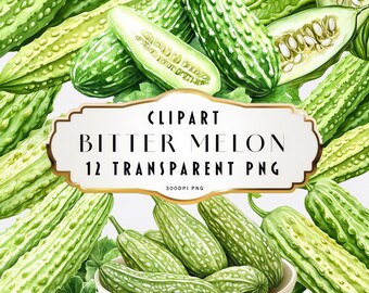 Pacchetto di clipart di melone amaro ad acquerello, 12 file PNG, illustrazione di frutta verde, arte vegetale di zucca amara, download digitale per adesivi artigianali