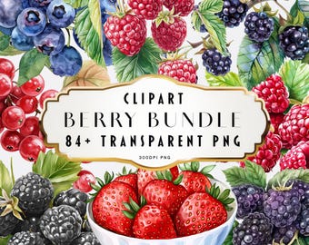 Bacche Acquerello Clipart PNG Bundle Fragola Mirtillo Lampone Ciliegia Frutta Illustrazioni Uso Commerciale Adesivi Artigianato Sublimazione