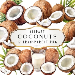 Clipart de coco aquarela Clipart de frutas Clip Art de verão Clipart de coco Clipart de verão Elementos folhosos Download instantâneo Uso comercial